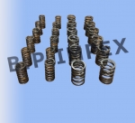  VALVE SPRING (INNER + OUTER),253405158701 253405158702